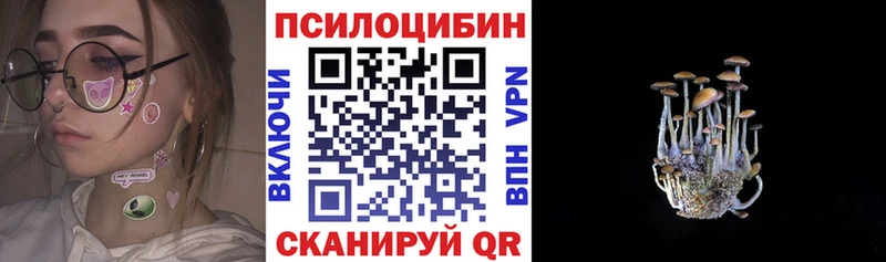 как найти закладки  Ясногорск  Галлюциногенные грибы Magic Shrooms 